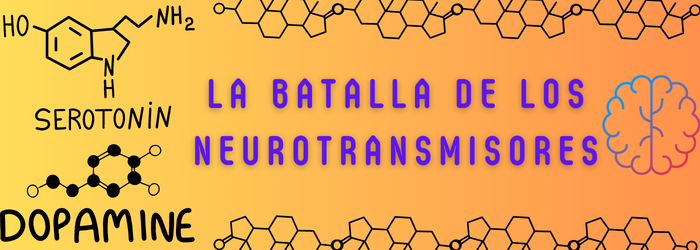 La Batalla de los Neurotransmisores